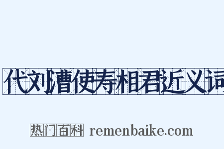 代刘漕使寿相君近义词是什么意思的图片